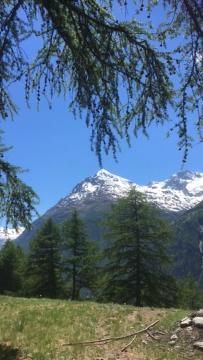 דירות Haus Valaisia - Randa Bei Zermatt מראה חיצוני תמונה